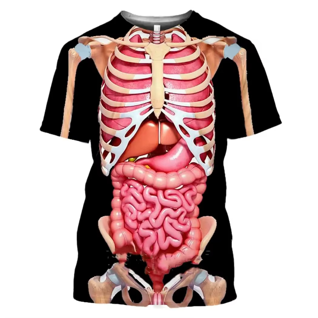 Male Skeleton Internal Organs  - огляд і ціна 3D Printing Diagram