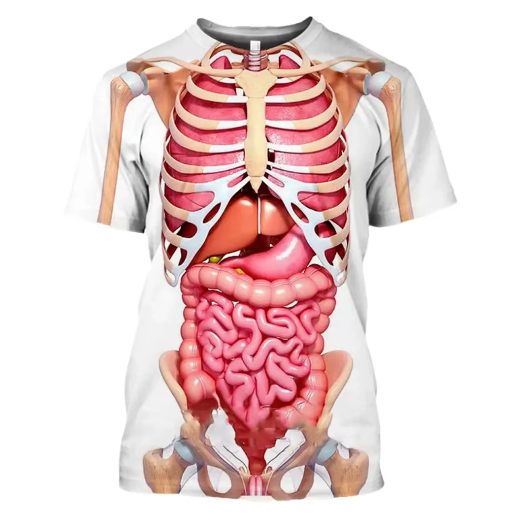 Male Skeleton Internal Organs  - огляд і ціна 3D Printing Diagram