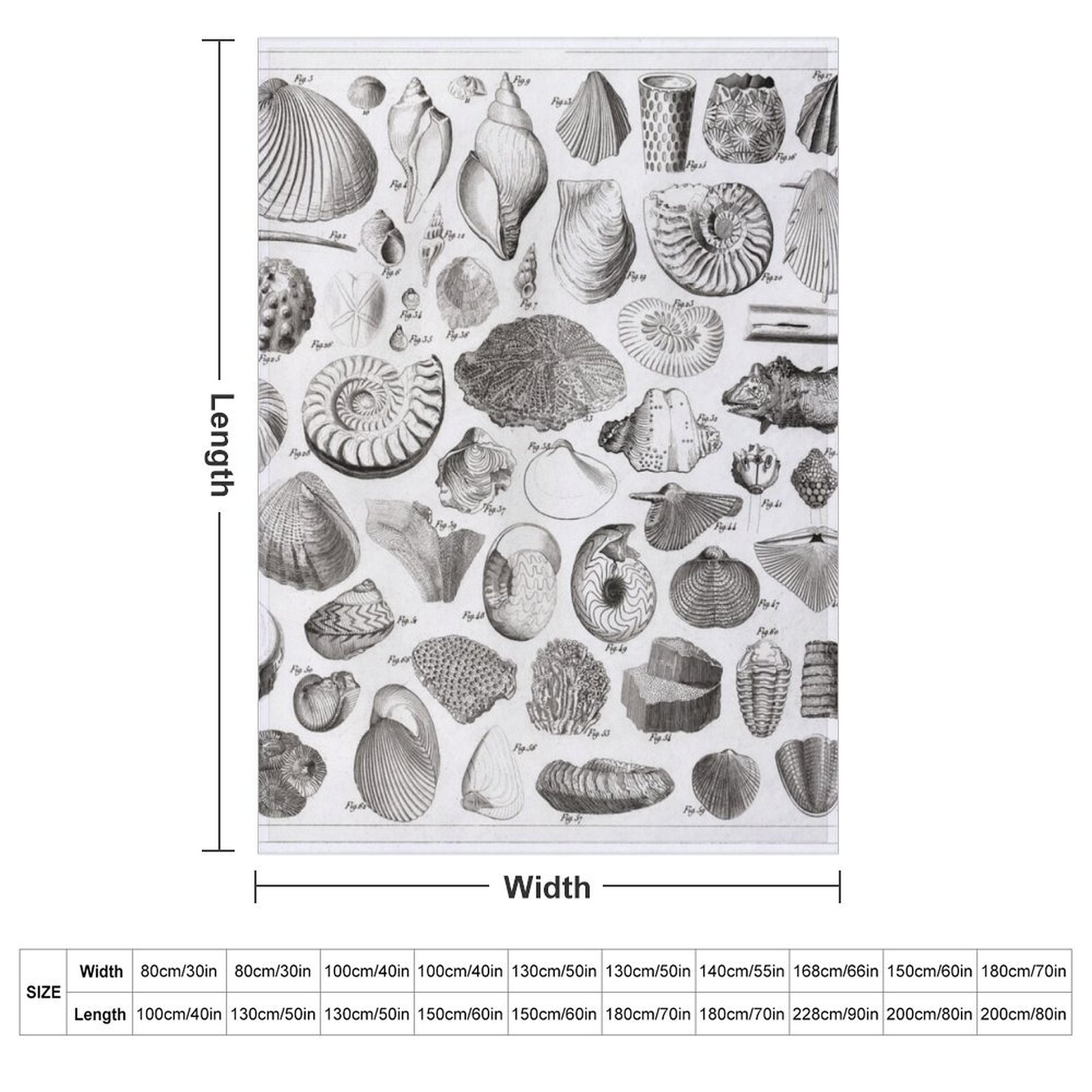 1857 Diagram Paleontology: Fos - огляд і ціна 3D Printing Diagram